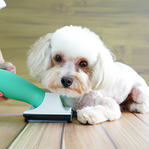 DIY Dog Grooming: Safely Restraining Your Pet At Home
