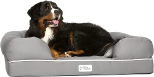 5 Best Orthopedic Dog Beds