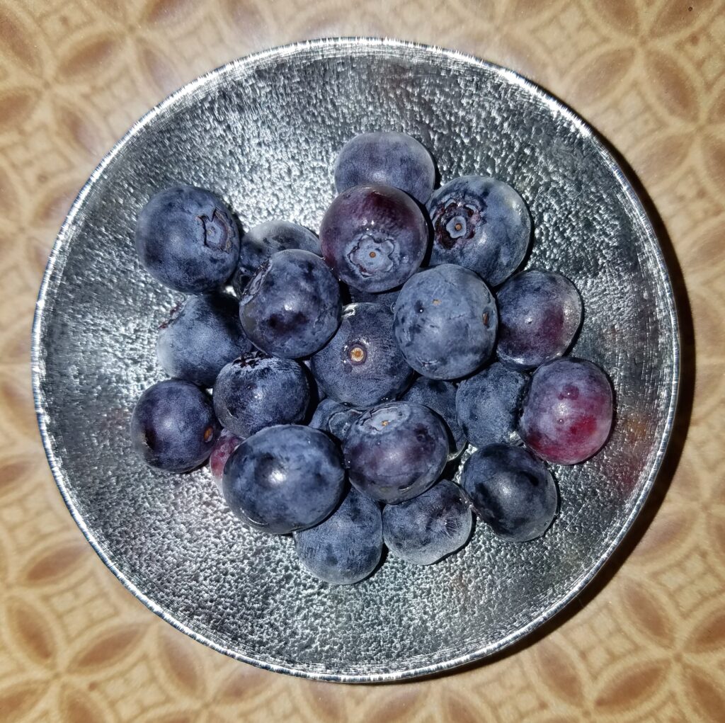 Blueberries in a small silver-colored bowl.