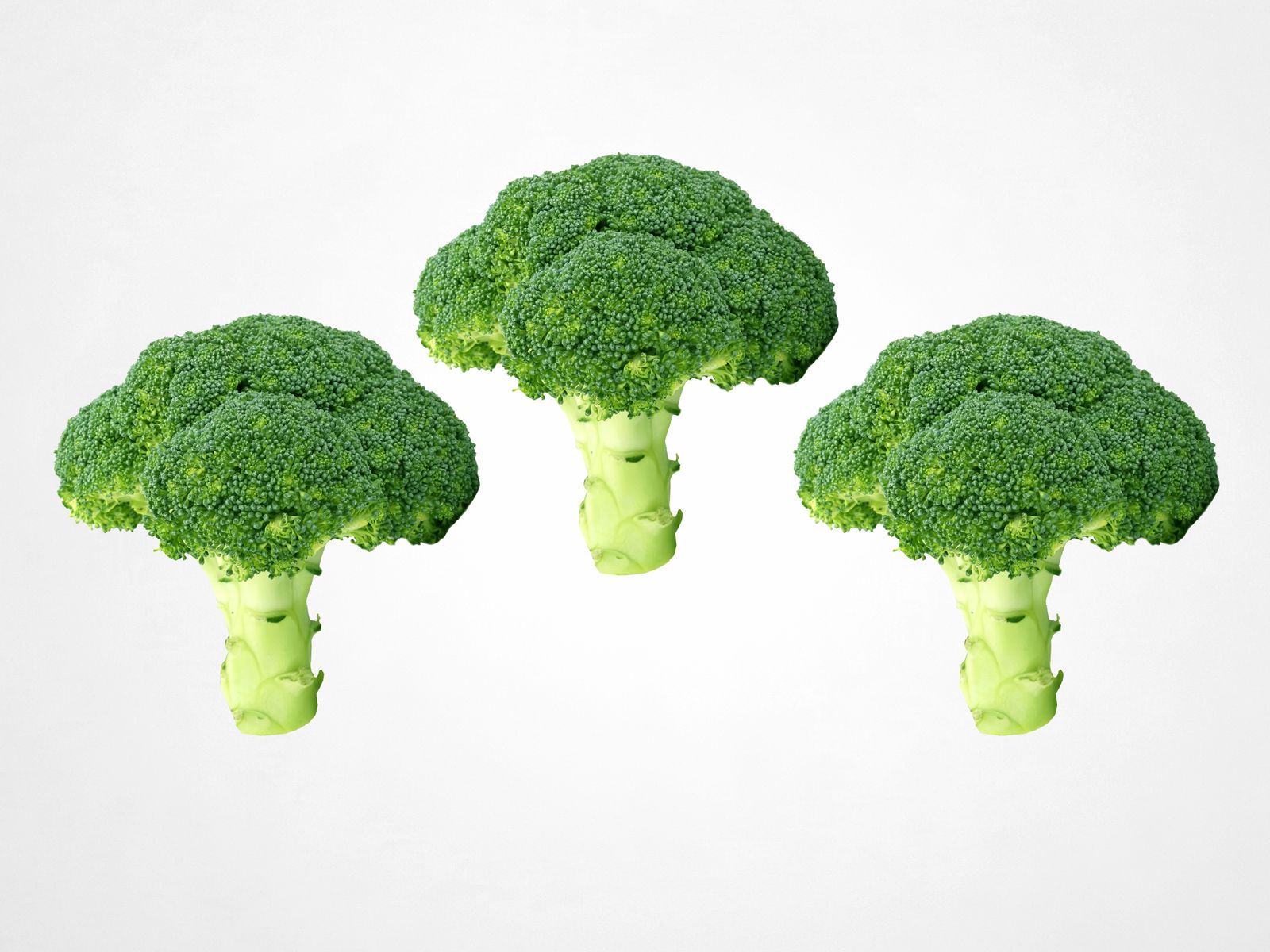 Broccoli florets on a white surface
