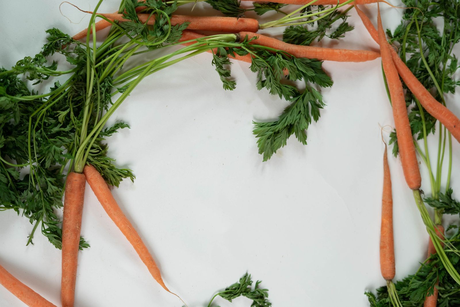 Fresh carrots with green tops on a white surface