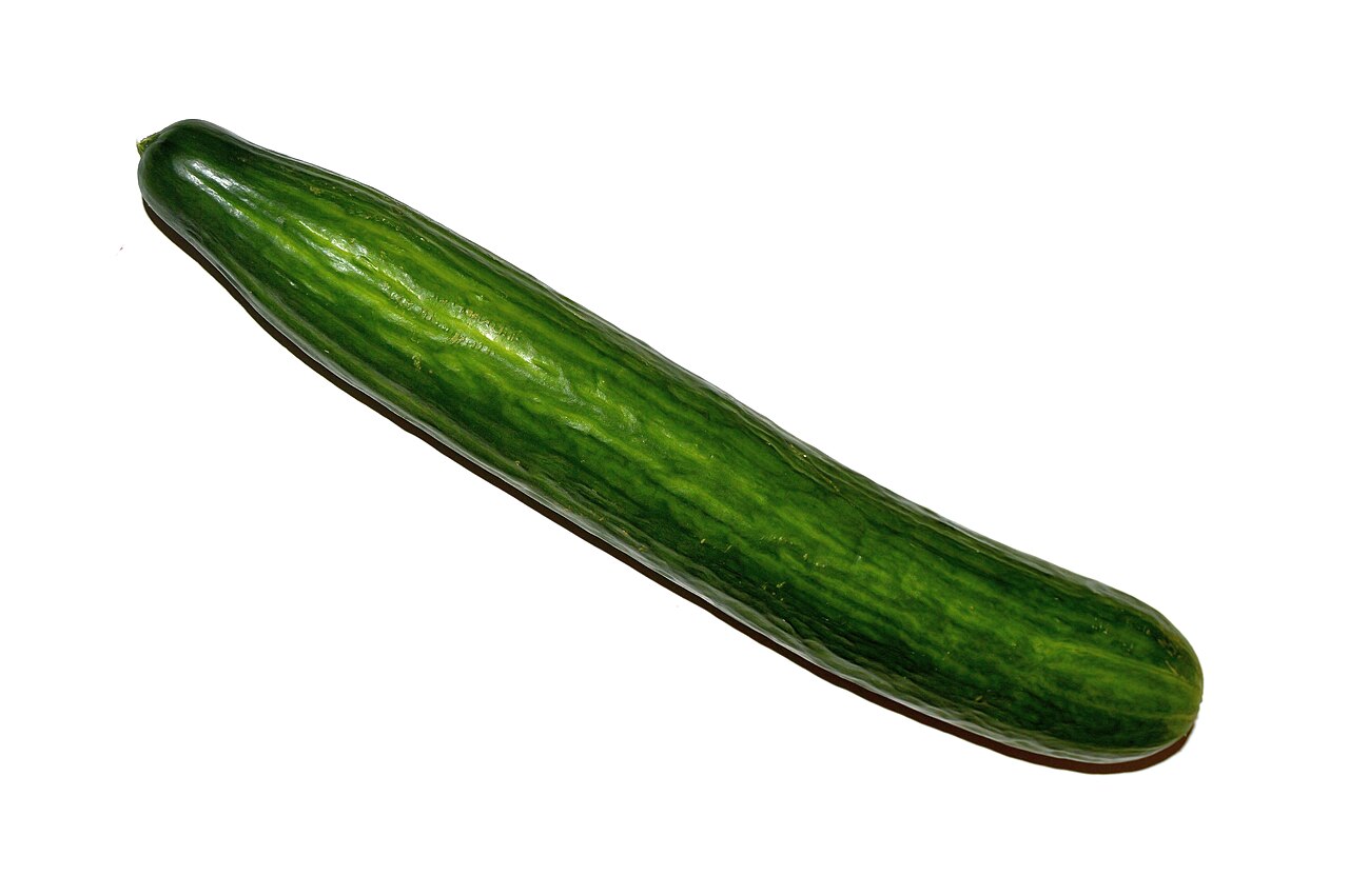 A whole green cucumber on a white background.
