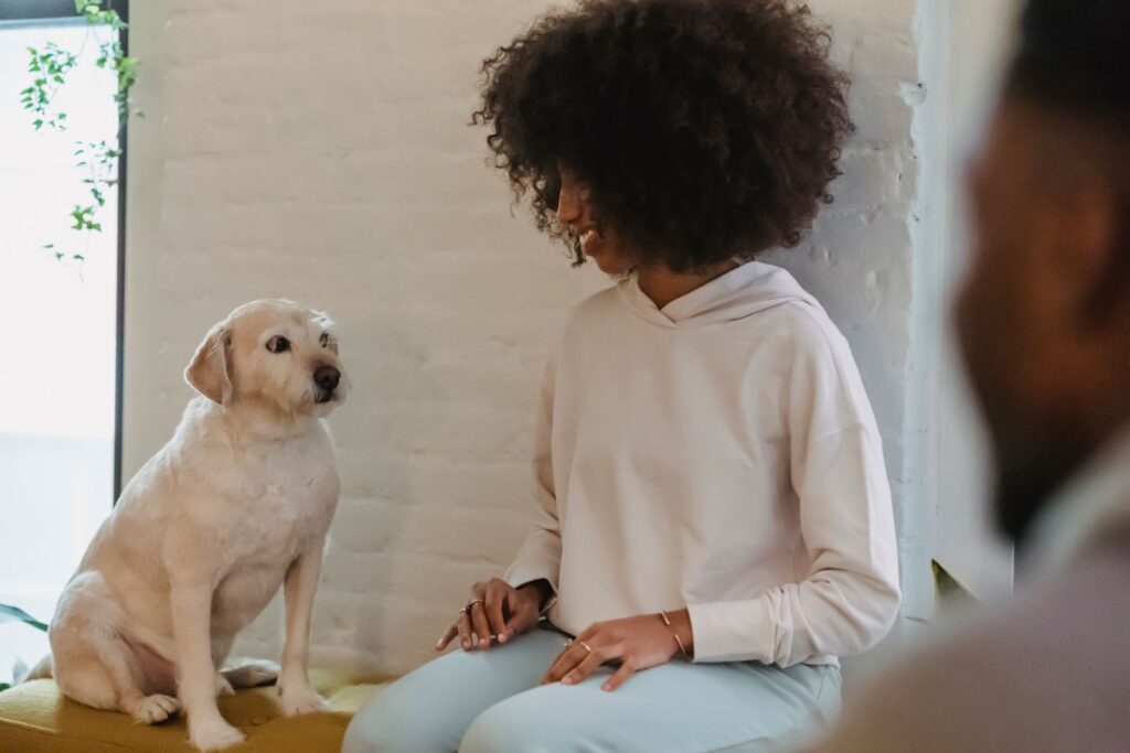 Calm small dog sitting beside a woman at home