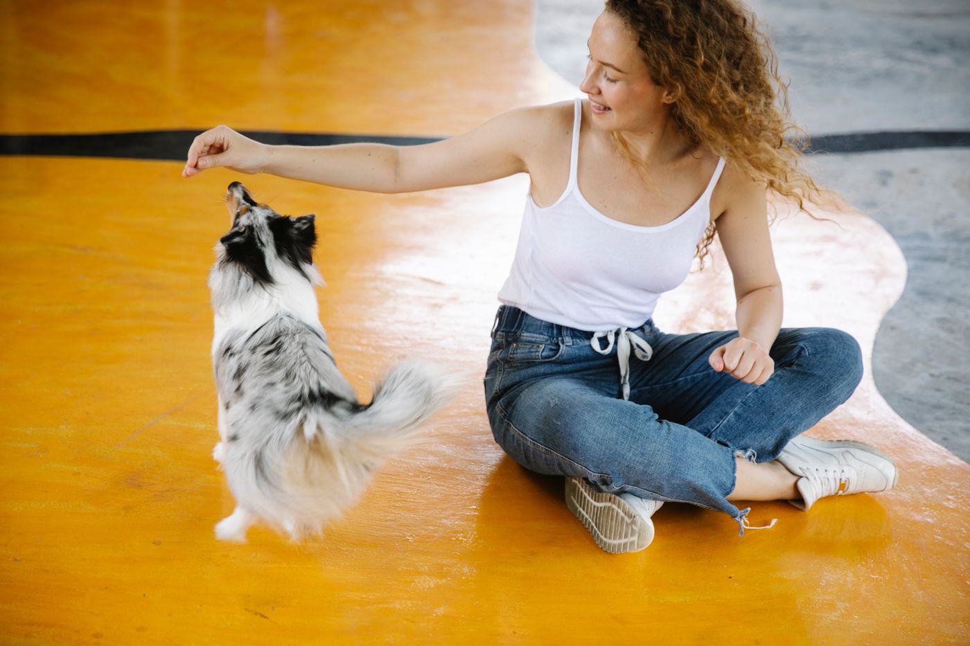 Woman sitting on an indoor floor with a Shetland Sheepdog