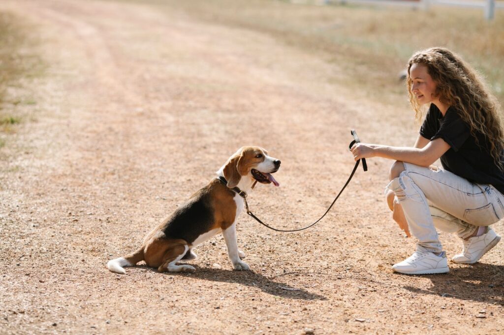 Woman and beagle pausing together on a countryside path