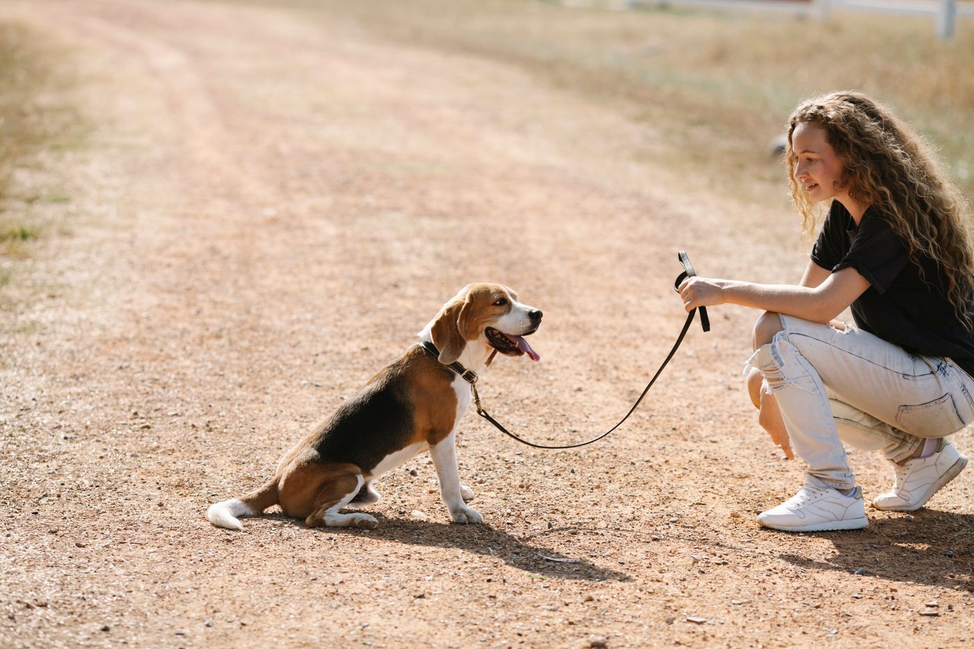 Woman and beagle pausing together on a countryside path