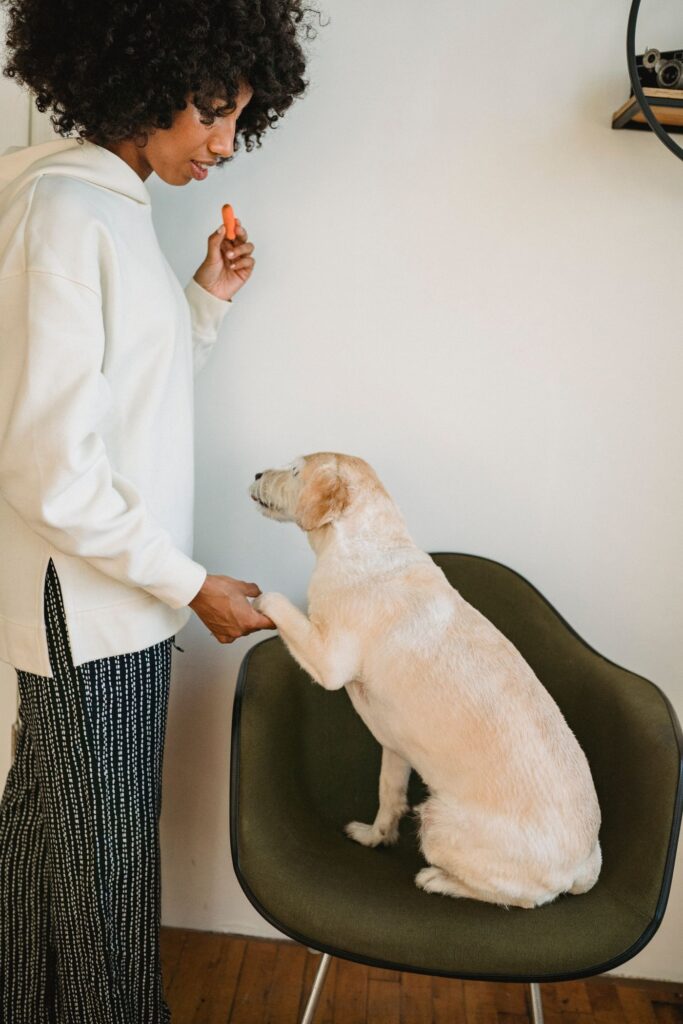 A person practicing a paw cue with a dog indoors