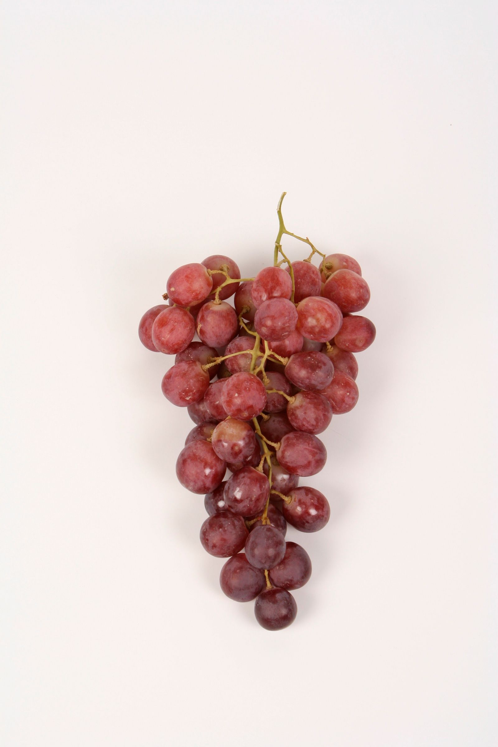 Bunch of red grapes on a white background