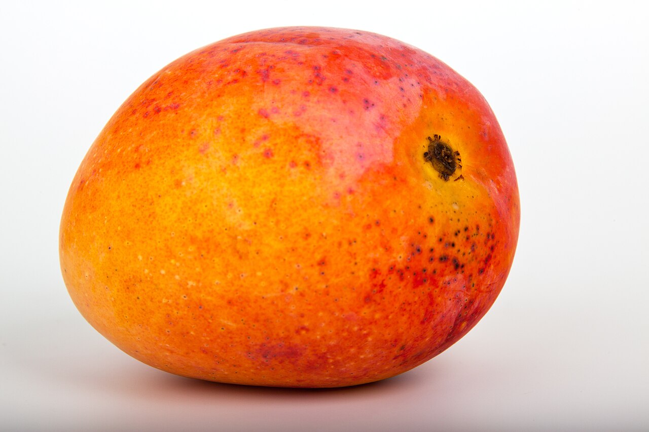 A whole red and yellow mango on a white background.